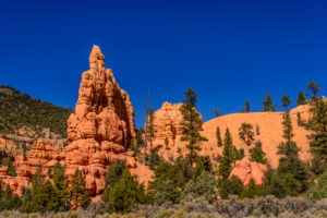USA, Utah, Garfield County, Dixie National Forest, Panguitch, Red Canyon, Blick am Scenic Byway 12 USA, Utah, Garfield County, Dixie National Forest, Panguitch, Red Canyon, Blick am Scenic Byway 12